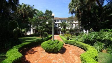 Patrimônio de São José, Parque Vicentina Aranha recebe moradores e turistas pelo programa City Tour