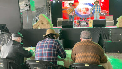 Festival Sertanejo