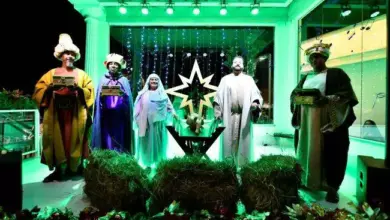 Decoração de Natal inaugurada na Cidade do Romeiro em Aparecida