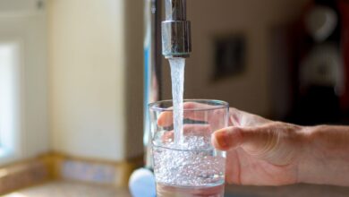 Onda de calor e alta de 60% no consumo de água: Governo de SP orienta medidas urgentes de economia