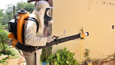 Agentes de Controle de Vetores combatem focos do mosquito da dengue em Pindamonhangaba