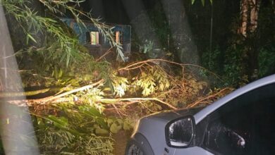 Chuvas em Ubatuba