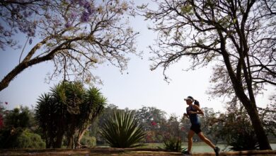 Previsão do tempo para sexta-feira (06), em SP: sensação de abafamento