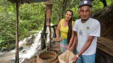 Conheça a história do casal de produtores de Barra do Turvo que produz o melhor café do estado de SP
