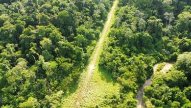 Comando Operacional Conjunto Catrimani II, com apoio da Casa de Governo em Roraima, interditou uma pista de pouso clandestina na terra indígena Yanomami, usando 400 kg de explosivos.
