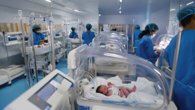 Um bebê internado em UTI neonatal pode ser submetido a até 13 procedimentos dolorosos por dia, como punções, inserção de cateteres, cirurgias e intubações
