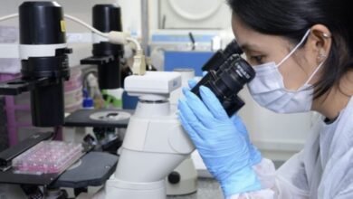 Conhecida popularmente como barriga d’água, a esquistossomose é uma infecção parasitária causada por vermes do gênero Schistosoma.