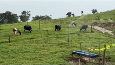 Propriedades integram o Projeto Vale + Verde, desenvolvido no Vale do Paraíba com recursos do Fundo Estadual de Prevenção e Controle da Poluição (Fecop)