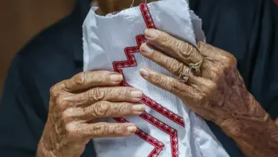 Bordadeira no Pará trabalha com a moda marajoara - Marcelo Camargo/Agência Brasil