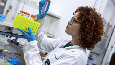 Os pesquisadores avaliaram novas moléculas contra o tumor que pudessem ter uso direto na pele, para evitar toxicidades