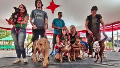 Evento na Praça 7 de Setembro. (Foto: Divulgação/PMP)
