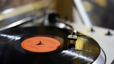 Evento no Parque da Cidade mistura música, feira de vinil e ação solidária
