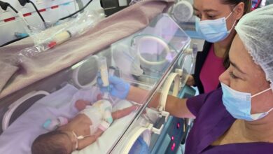 Depois de percorrer um longo caminho, o leite materno doado chega aos bebês da UTI Neonatal: alimento que salva vidas - Foto: PMSJC