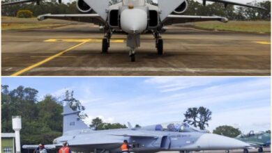 Escudo-Tínia marca avanço do F-39 Gripen na defesa aérea brasileira