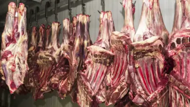 Embargo atinge unidades da JBS, PrimaFoods e Frialto