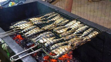 Pescadores de Ilhabela garantem sardinha fresca no tradicional festival gastronômico da cidade