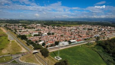 Vista Aérea do Araretama