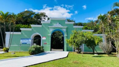 Parque do Itaim, em Taubaté, recebe roda de conversa sobre produção de mudas nativas e compensação ambiental.