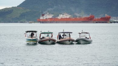Temporada das baleias em Ilhabela terá fiscalização e tecnologia no mar