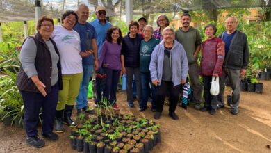Programa de plantas medicinais ganha reforço em Pindamonhangaba