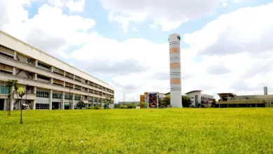 Os interessados em participar dos cursos deverão realizar a inscrição on-line, no Sistema Apolo, até o dia 6 de julho