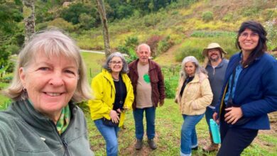 Agricultores familiares participam de projeto apoiado pela Suzano em São Paulo.