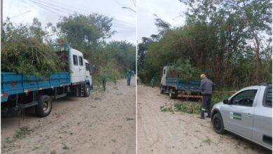 Estrada do Kanegae, em Pindamonhangaba, recebe poda, limpeza das margens e retirada de galhos ao longo da via.