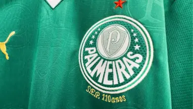 Camiseta do Palmeiras