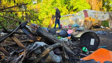 Força-tarefa trabalhou por quase dez horas no Jardim Mourisco e também realizou roçada e capina