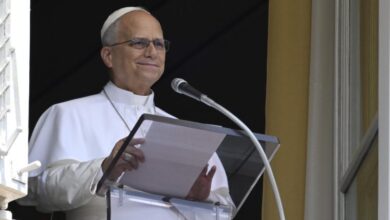 Papa - Angelus