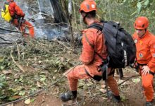 Bombeiros atuam no resgate em área de mata fechada